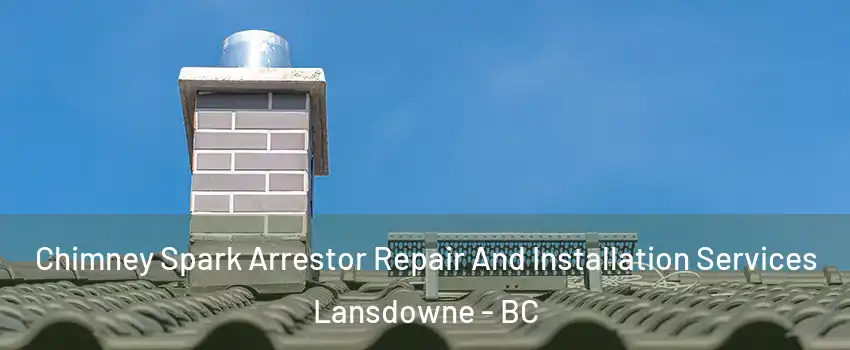  Chimney Spark Arrestor Repair And Installation Services Lansdowne - BC