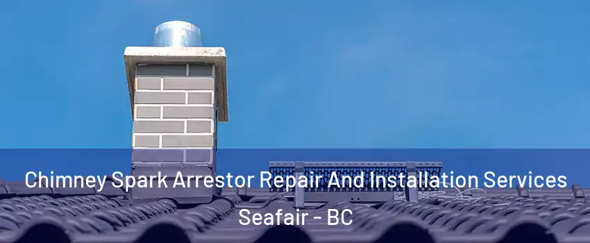  Chimney Spark Arrestor Repair And Installation Services Seafair - BC