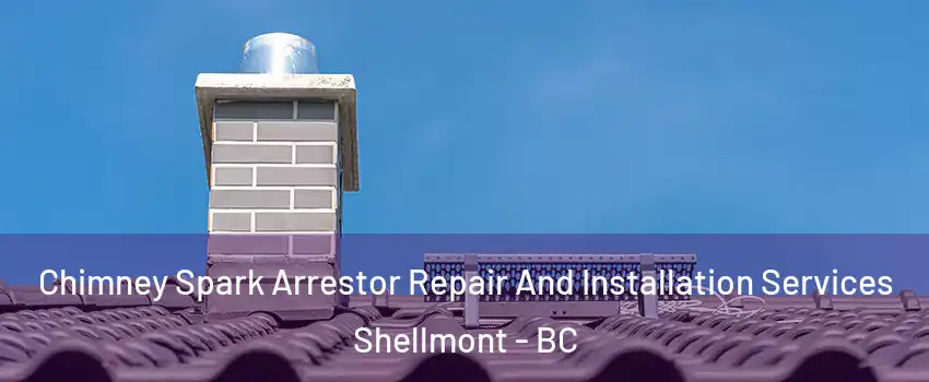  Chimney Spark Arrestor Repair And Installation Services Shellmont - BC