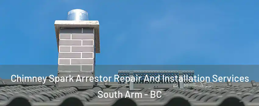  Chimney Spark Arrestor Repair And Installation Services South Arm - BC