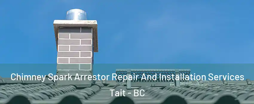  Chimney Spark Arrestor Repair And Installation Services Tait - BC