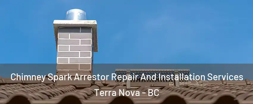  Chimney Spark Arrestor Repair And Installation Services Terra Nova - BC