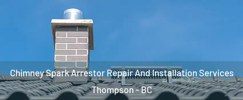  Chimney Spark Arrestor Repair And Installation Services Thompson - BC