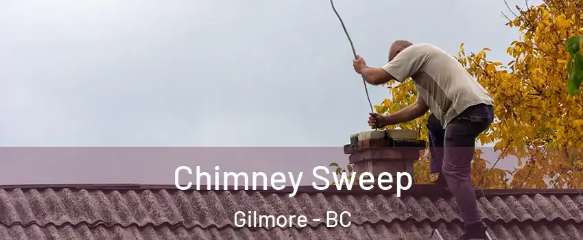  Chimney Sweep Gilmore - BC