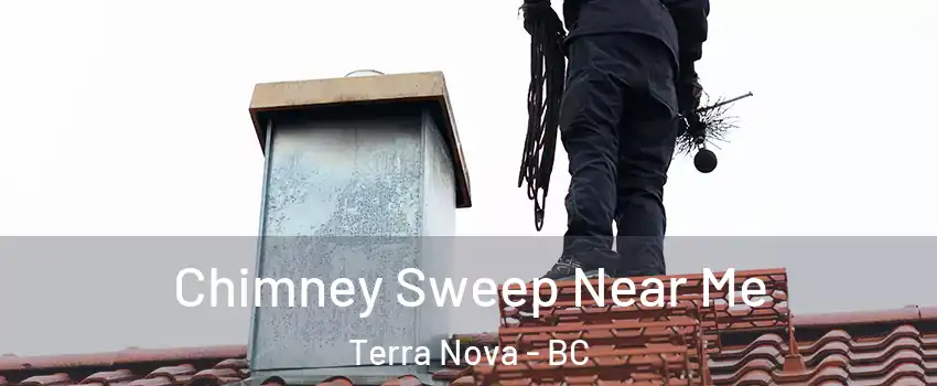  Chimney Sweep Near Me Terra Nova - BC