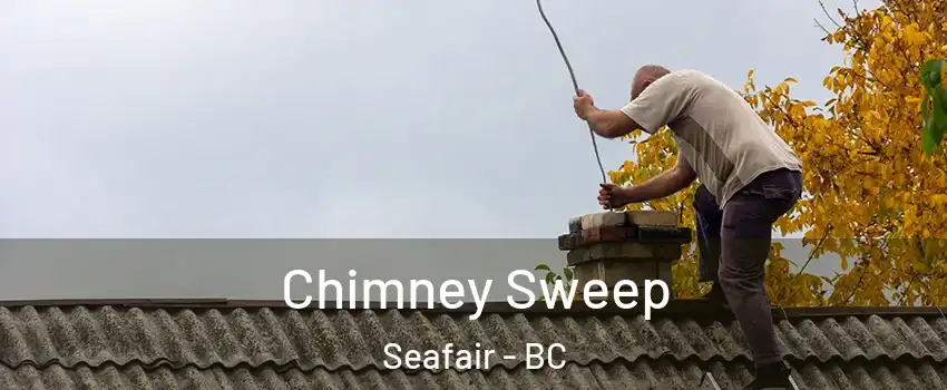  Chimney Sweep Seafair - BC