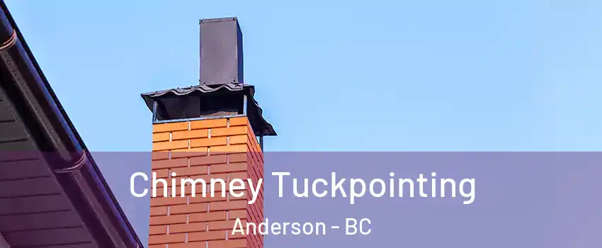  Chimney Tuckpointing Anderson - BC