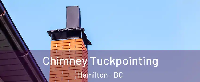  Chimney Tuckpointing Hamilton - BC