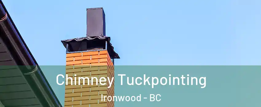  Chimney Tuckpointing Ironwood - BC