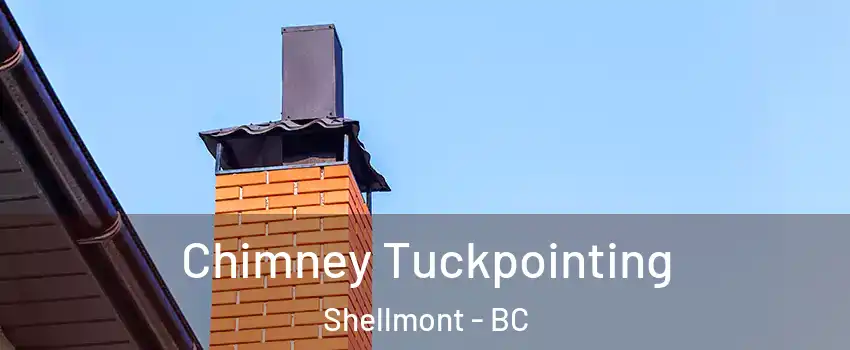  Chimney Tuckpointing Shellmont - BC