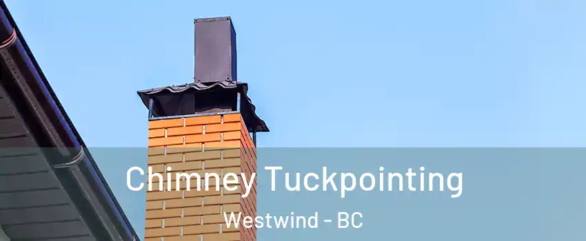  Chimney Tuckpointing Westwind - BC