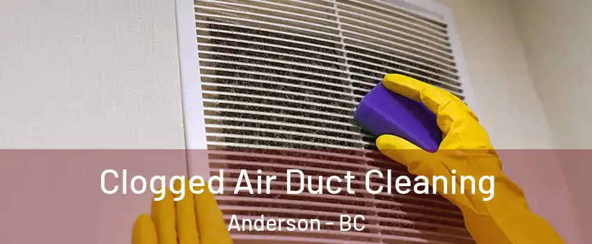  Clogged Air Duct Cleaning Anderson - BC
