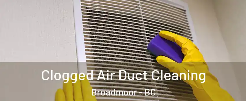  Clogged Air Duct Cleaning Broadmoor - BC