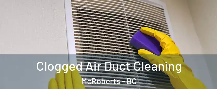  Clogged Air Duct Cleaning McRoberts - BC