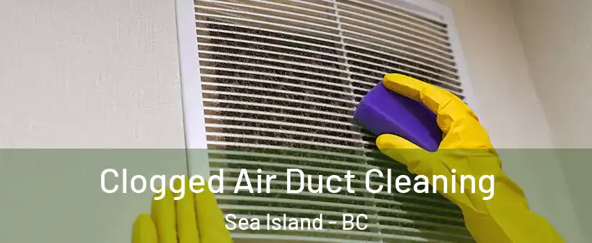  Clogged Air Duct Cleaning Sea Island - BC