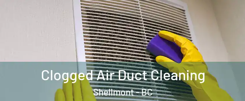  Clogged Air Duct Cleaning Shellmont - BC