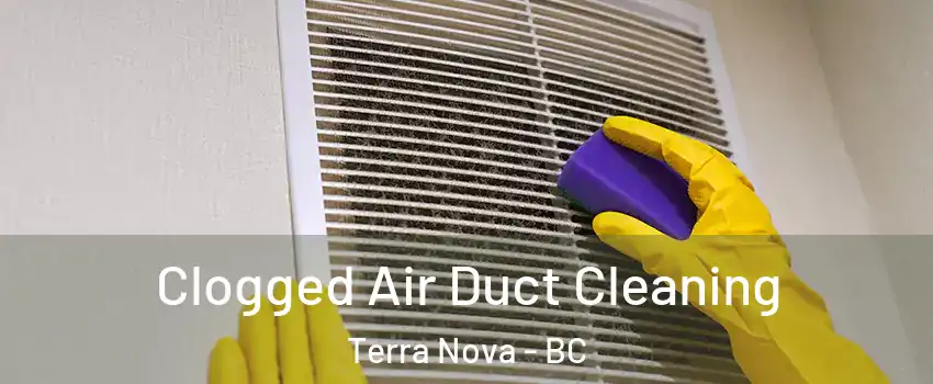  Clogged Air Duct Cleaning Terra Nova - BC