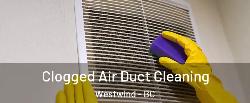  Clogged Air Duct Cleaning Westwind - BC