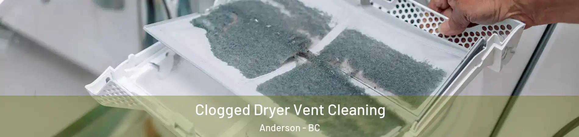  Clogged Dryer Vent Cleaning Anderson - BC