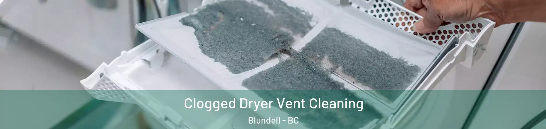  Clogged Dryer Vent Cleaning Blundell - BC