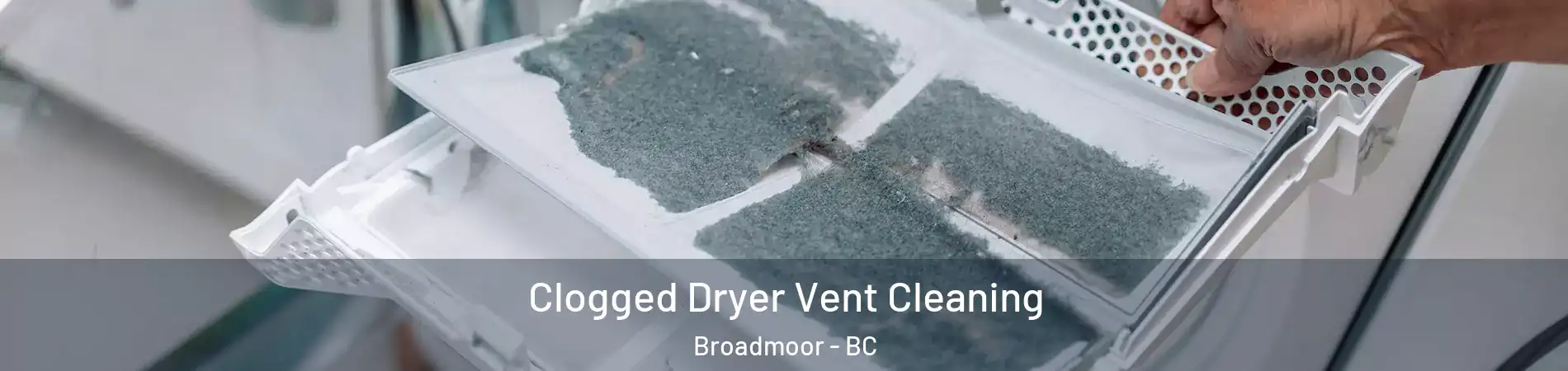  Clogged Dryer Vent Cleaning Broadmoor - BC