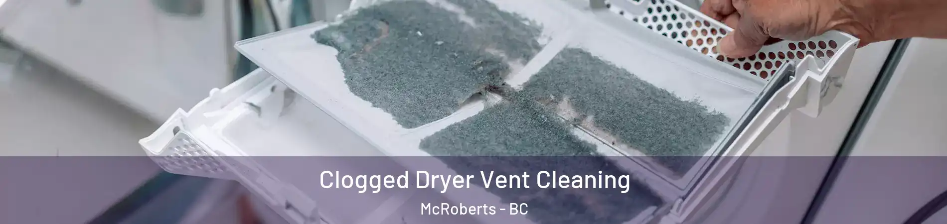  Clogged Dryer Vent Cleaning McRoberts - BC