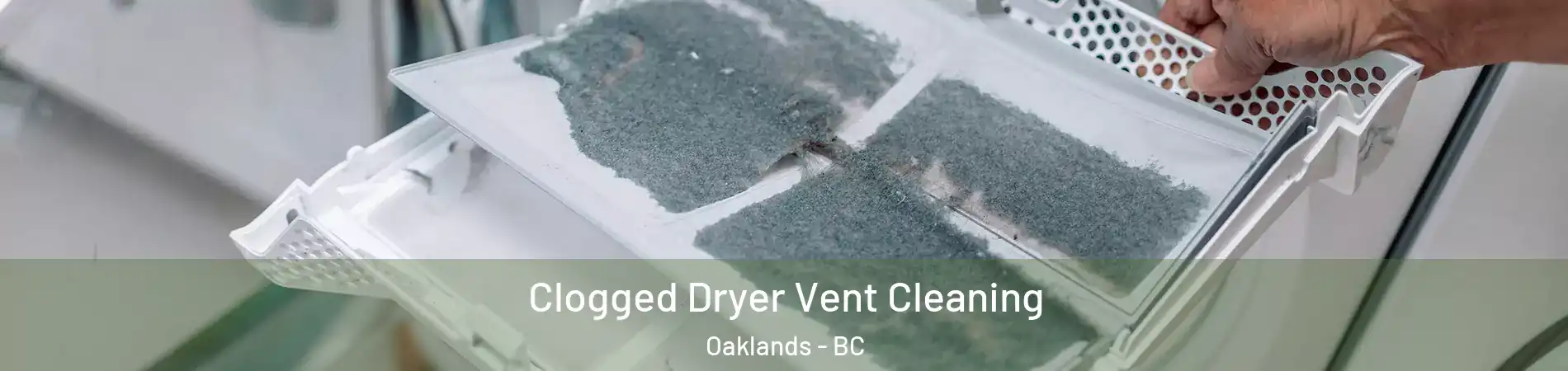  Clogged Dryer Vent Cleaning Oaklands - BC