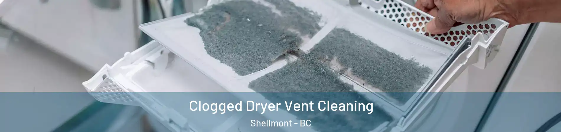  Clogged Dryer Vent Cleaning Shellmont - BC