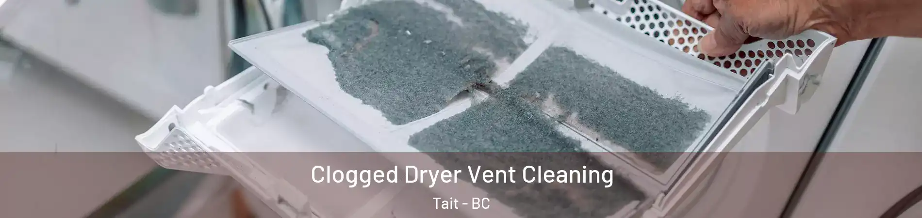  Clogged Dryer Vent Cleaning Tait - BC