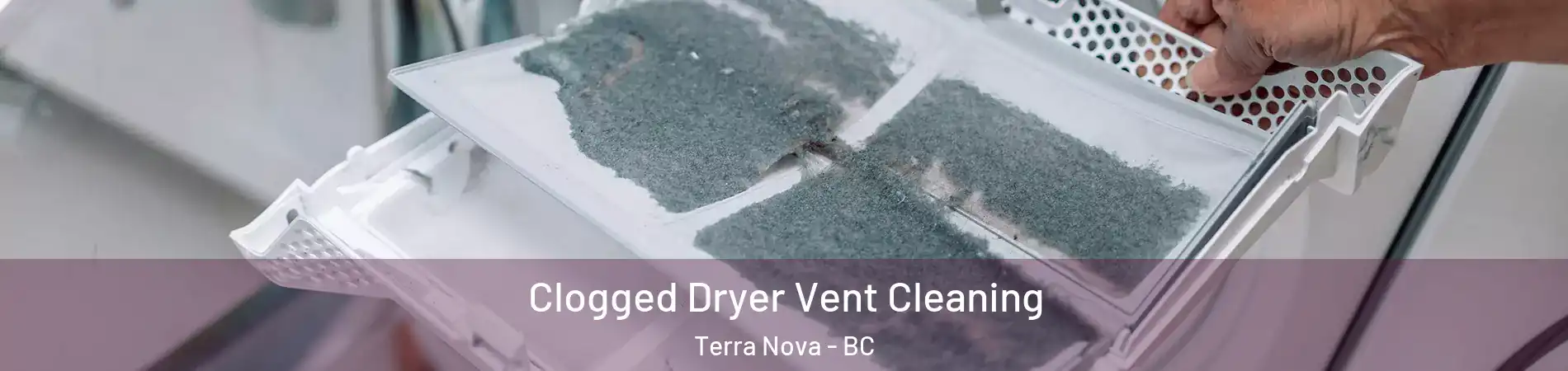  Clogged Dryer Vent Cleaning Terra Nova - BC
