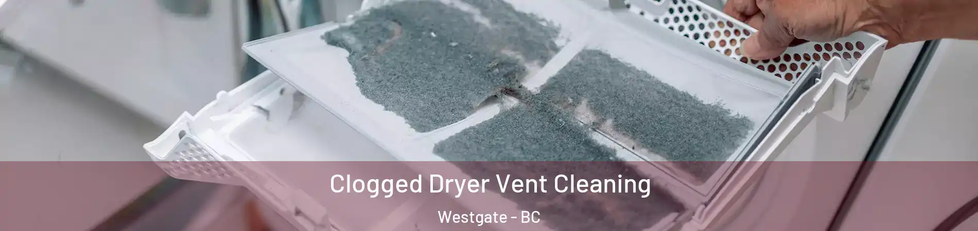  Clogged Dryer Vent Cleaning Westgate - BC