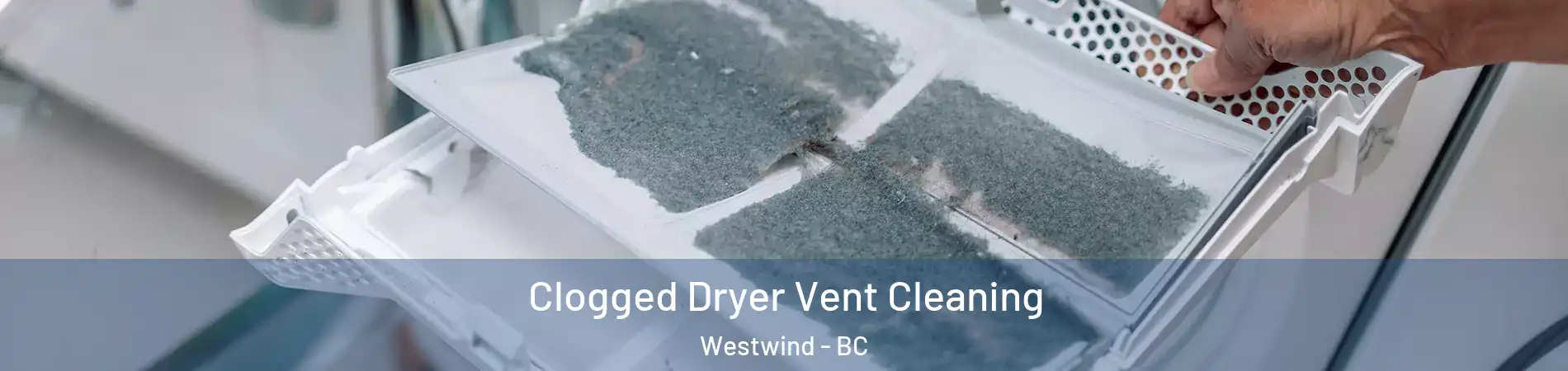  Clogged Dryer Vent Cleaning Westwind - BC