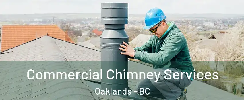  Commercial Chimney Services Oaklands - BC