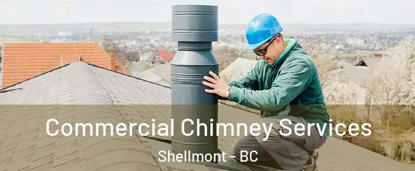  Commercial Chimney Services Shellmont - BC