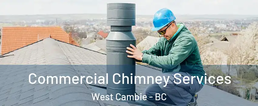  Commercial Chimney Services West Cambie - BC