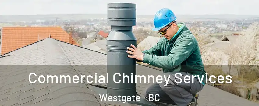  Commercial Chimney Services Westgate - BC