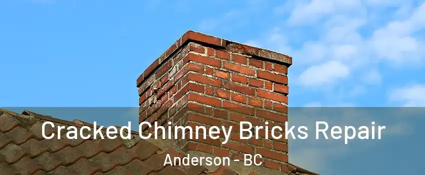  Cracked Chimney Bricks Repair Anderson - BC