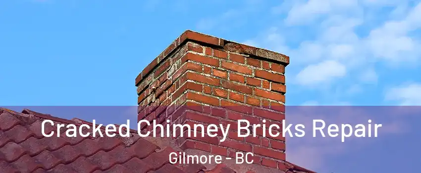  Cracked Chimney Bricks Repair Gilmore - BC