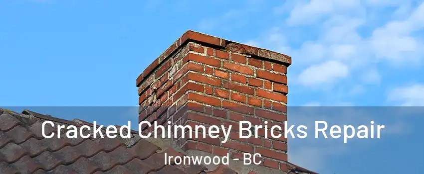  Cracked Chimney Bricks Repair Ironwood - BC