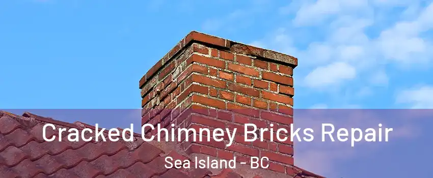  Cracked Chimney Bricks Repair Sea Island - BC