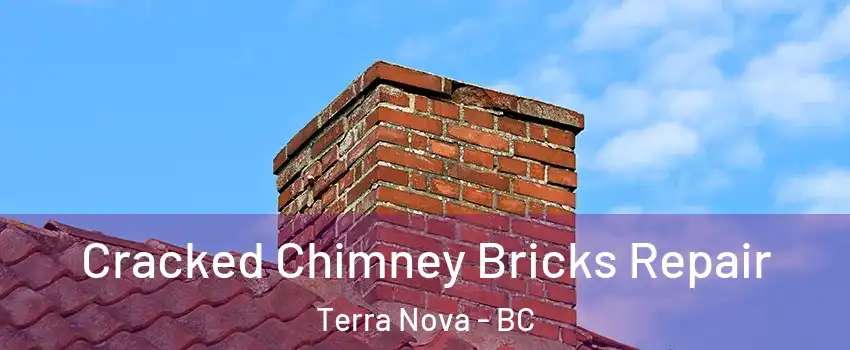  Cracked Chimney Bricks Repair Terra Nova - BC