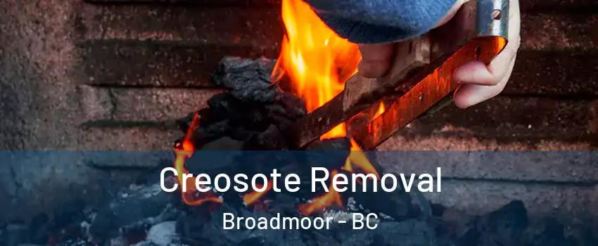  Creosote Removal Broadmoor - BC