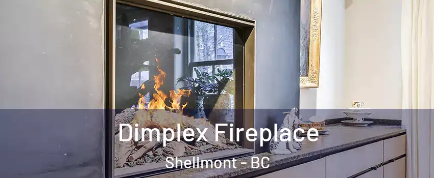  Dimplex Fireplace Shellmont - BC