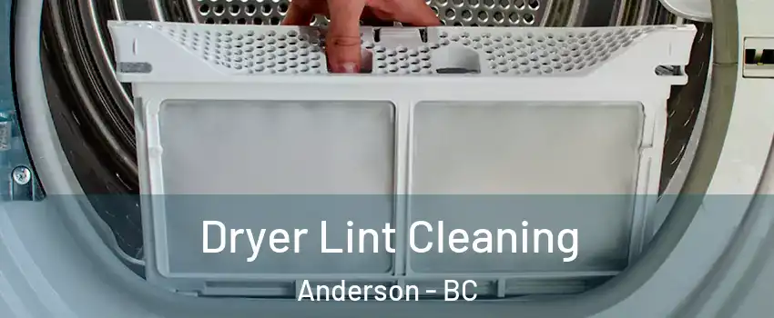  Dryer Lint Cleaning Anderson - BC