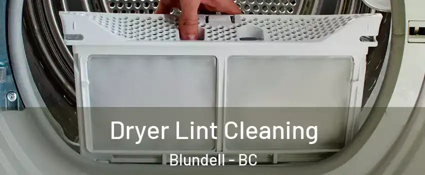  Dryer Lint Cleaning Blundell - BC