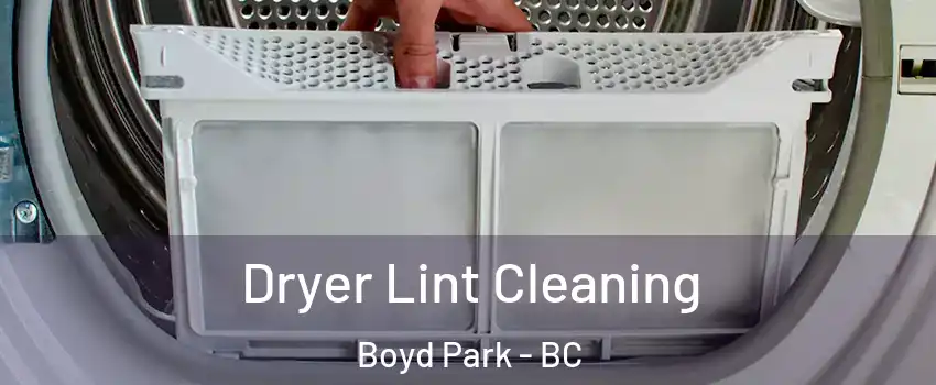  Dryer Lint Cleaning Boyd Park - BC