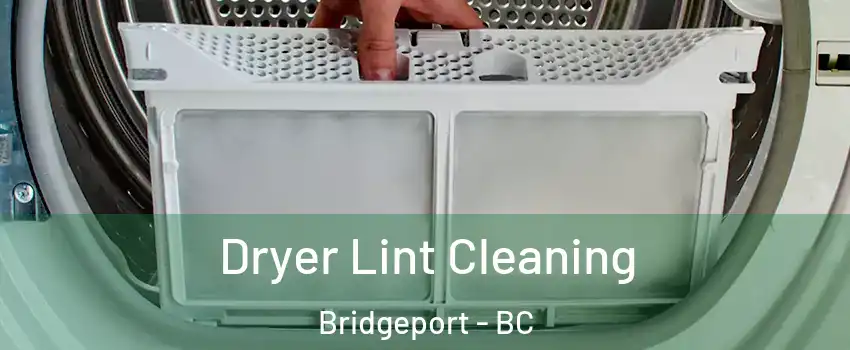  Dryer Lint Cleaning Bridgeport - BC