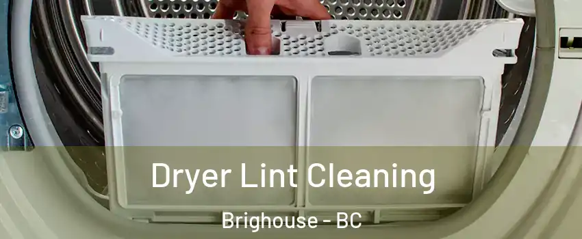  Dryer Lint Cleaning Brighouse - BC