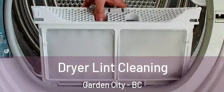  Dryer Lint Cleaning Garden City - BC