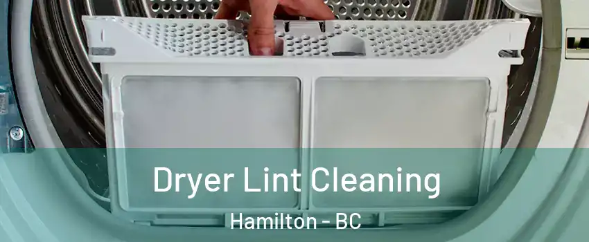  Dryer Lint Cleaning Hamilton - BC